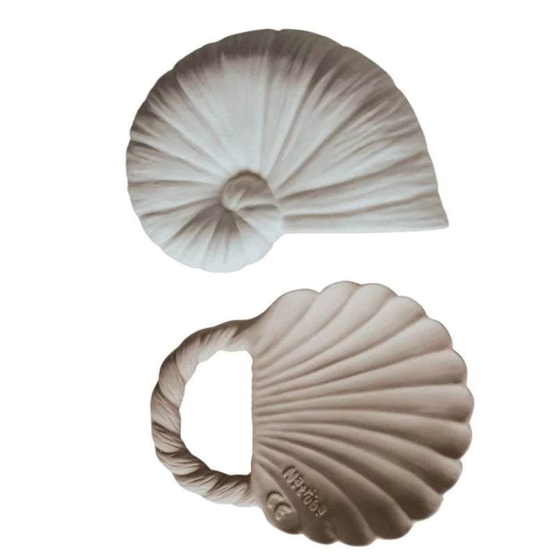 Lot 2 anneaux dentition caoutchouc naturel - Coquillage